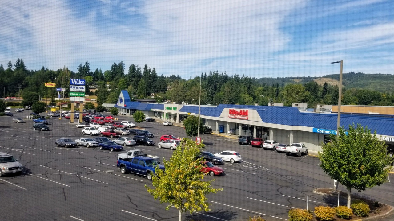 Photo of Others in Kelso