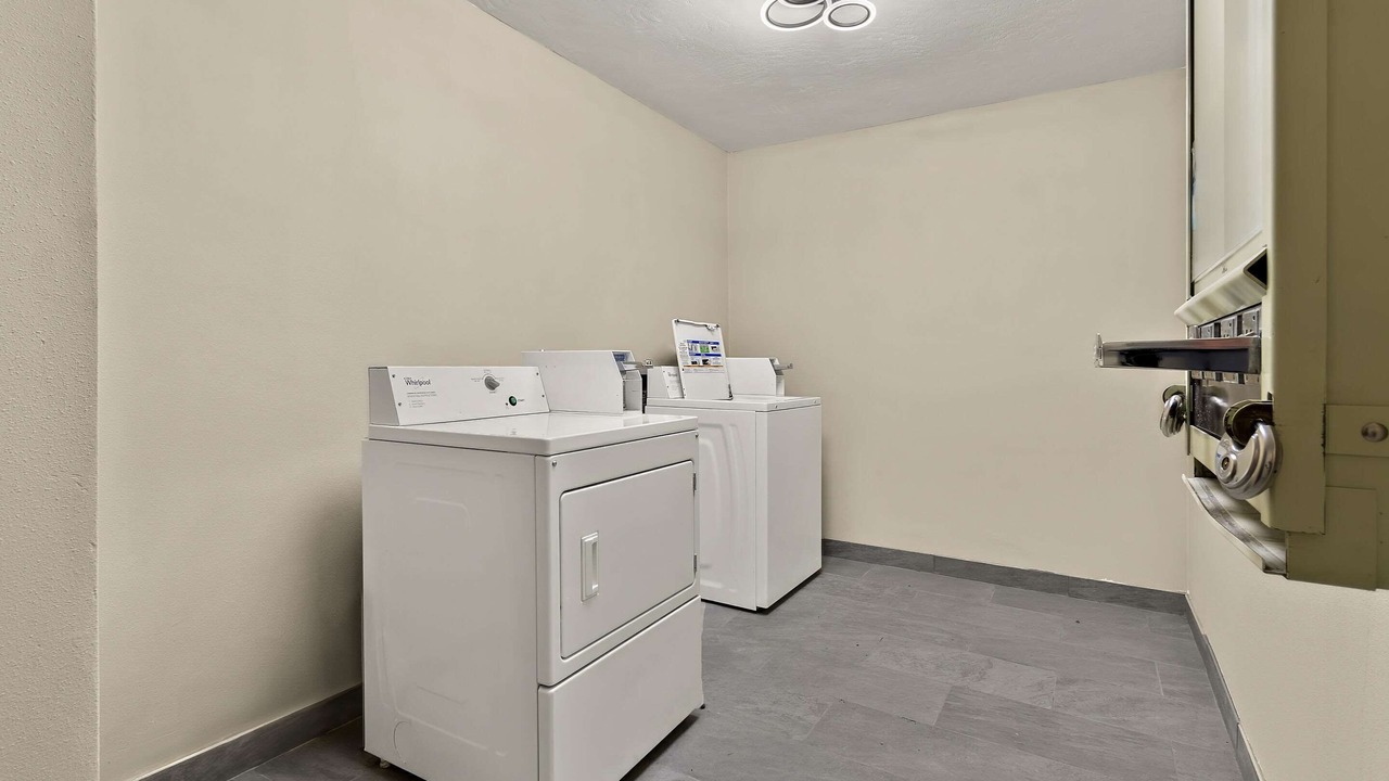 Photo of Others in Kelso