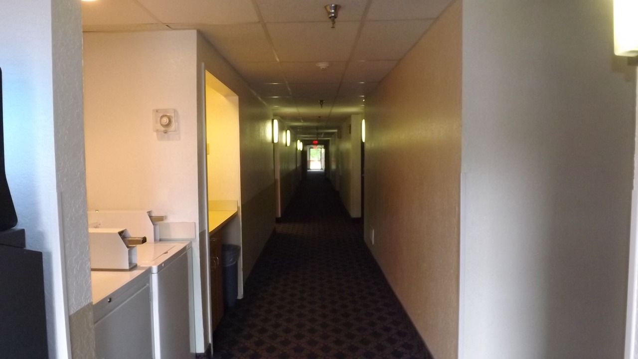 Photo of Others in Sidney