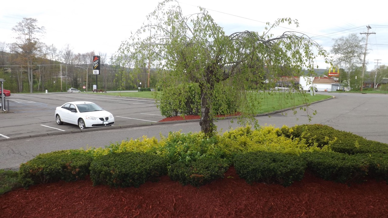 Photo of Outdoor in Sidney