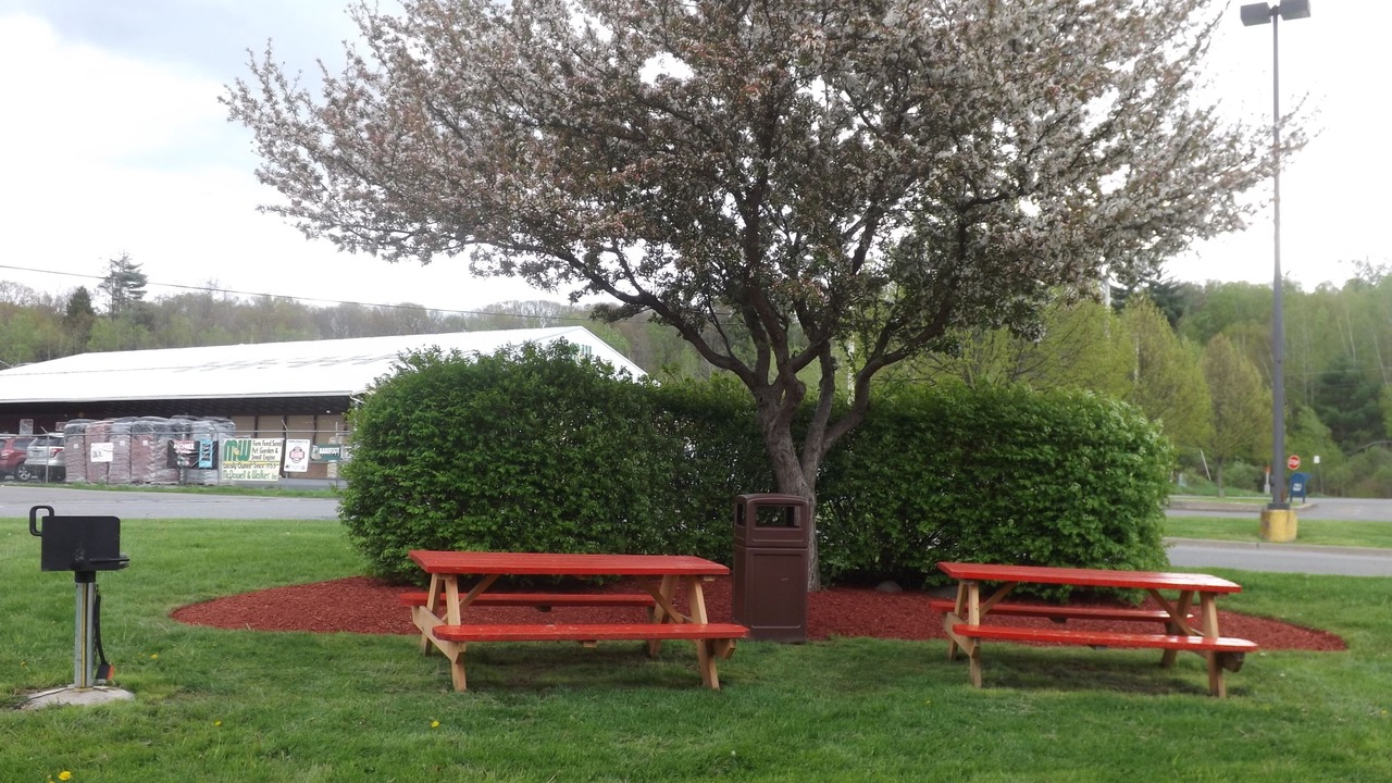 Photo of Outdoor in Sidney