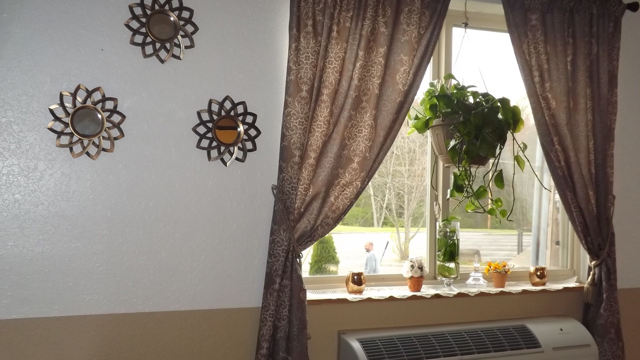 Photo of Others in Sidney