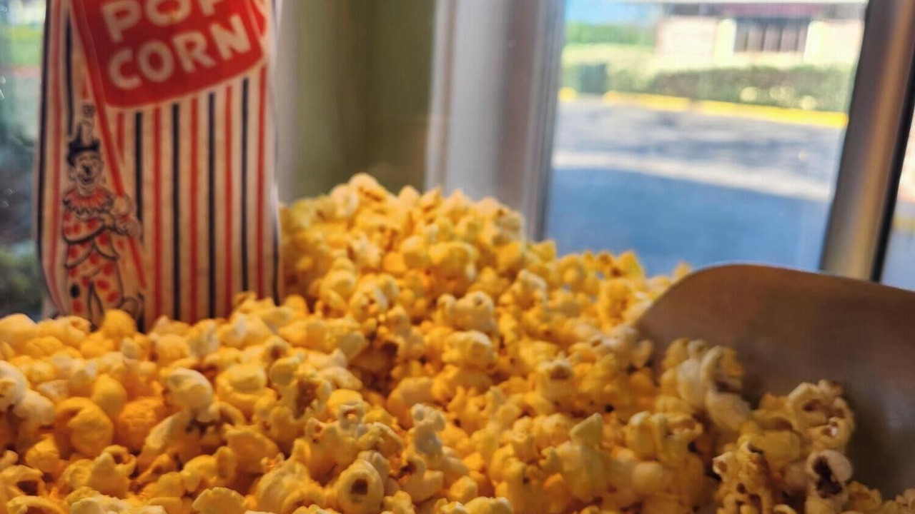 Photo of Others in Springfield