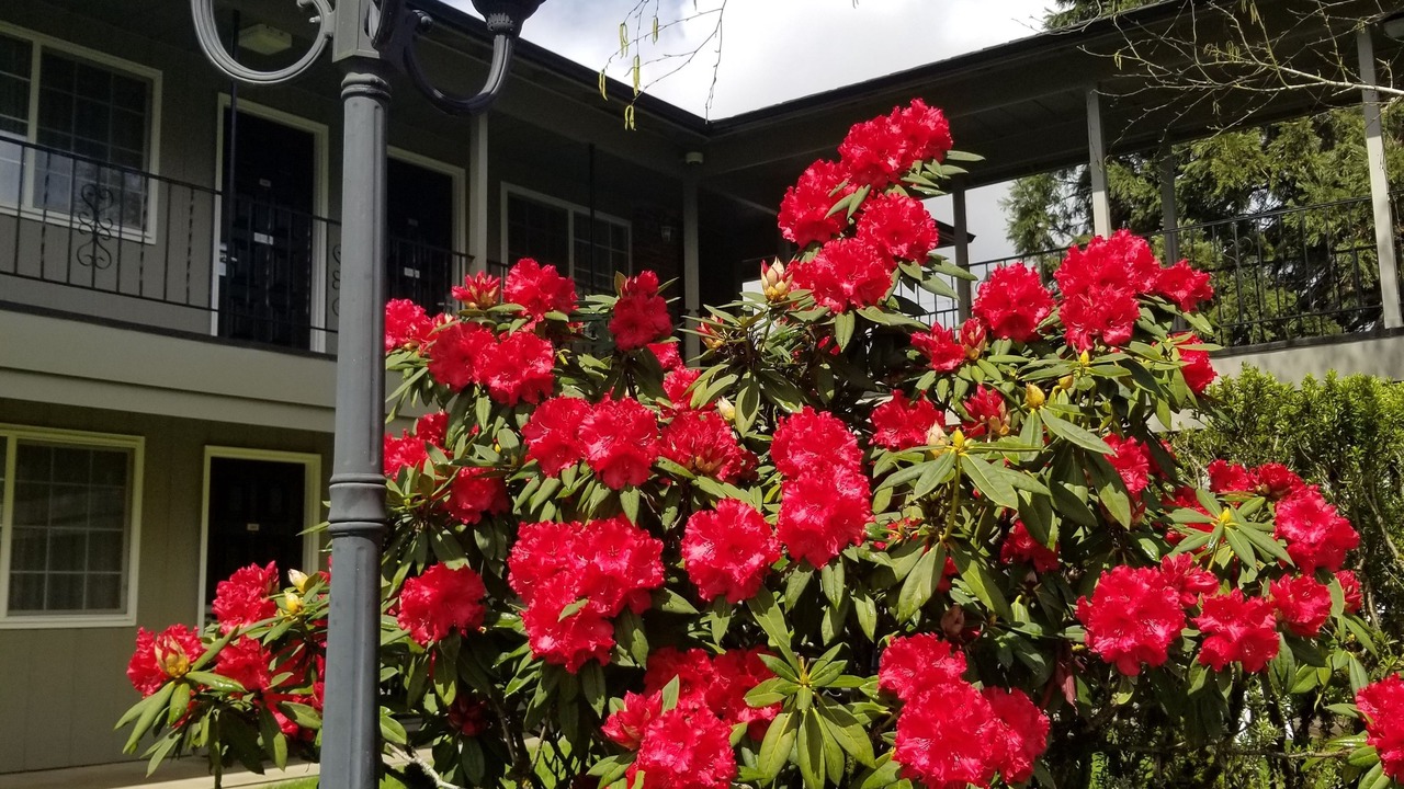 Photo of Others in Springfield