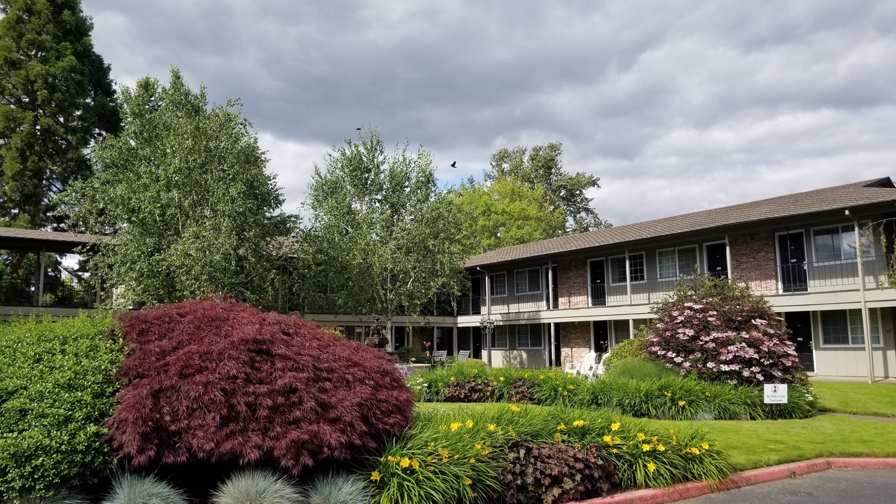 Photo of Outdoor in Springfield