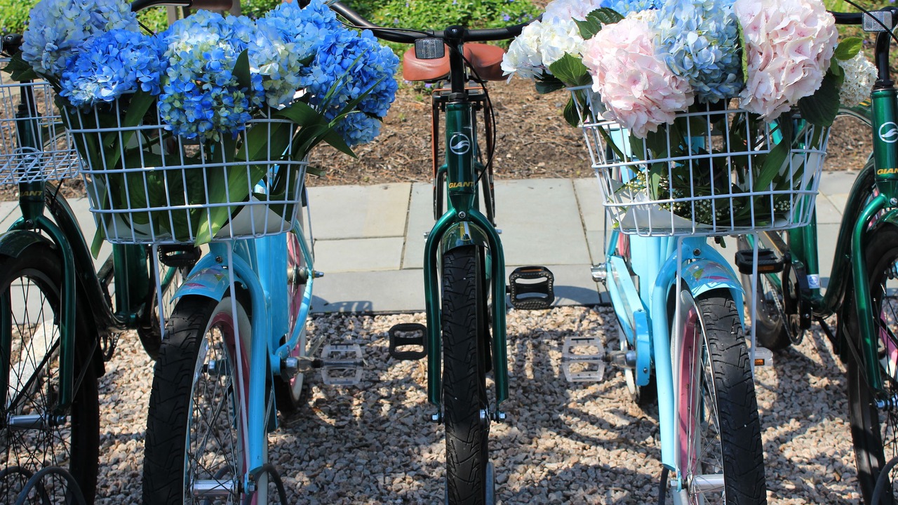 Photo of Outdoor in Old Saybrook Center