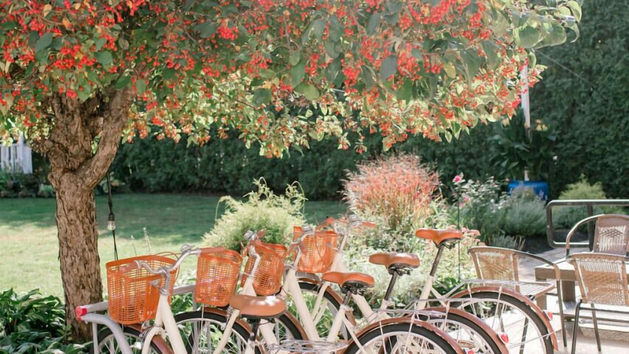 Photo of Outdoor in Exeter