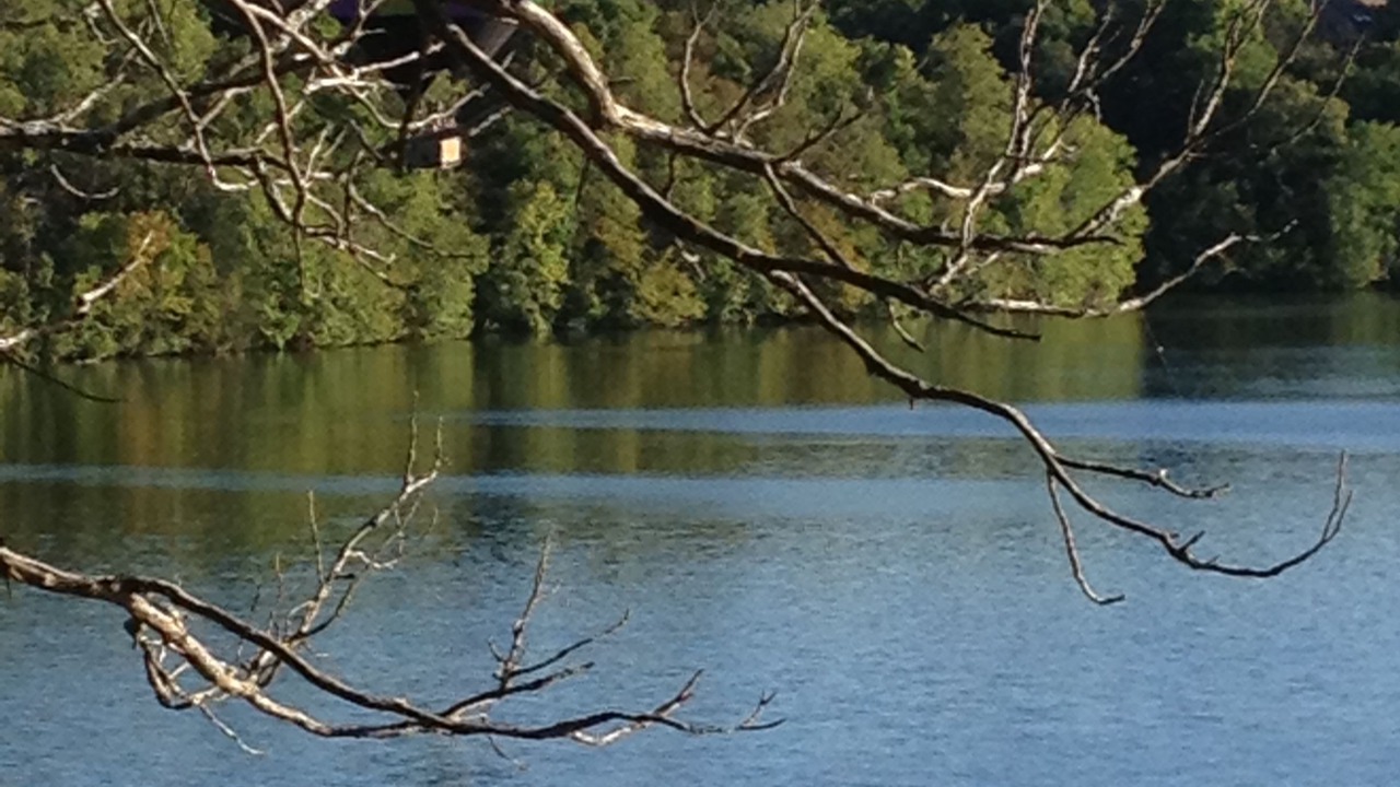 Photo of Outdoor in The Galena Territory