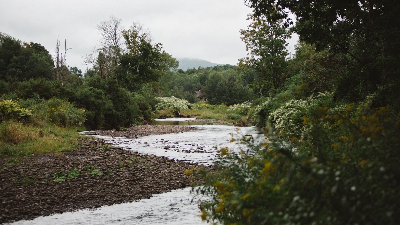 Photo of Others in Windham