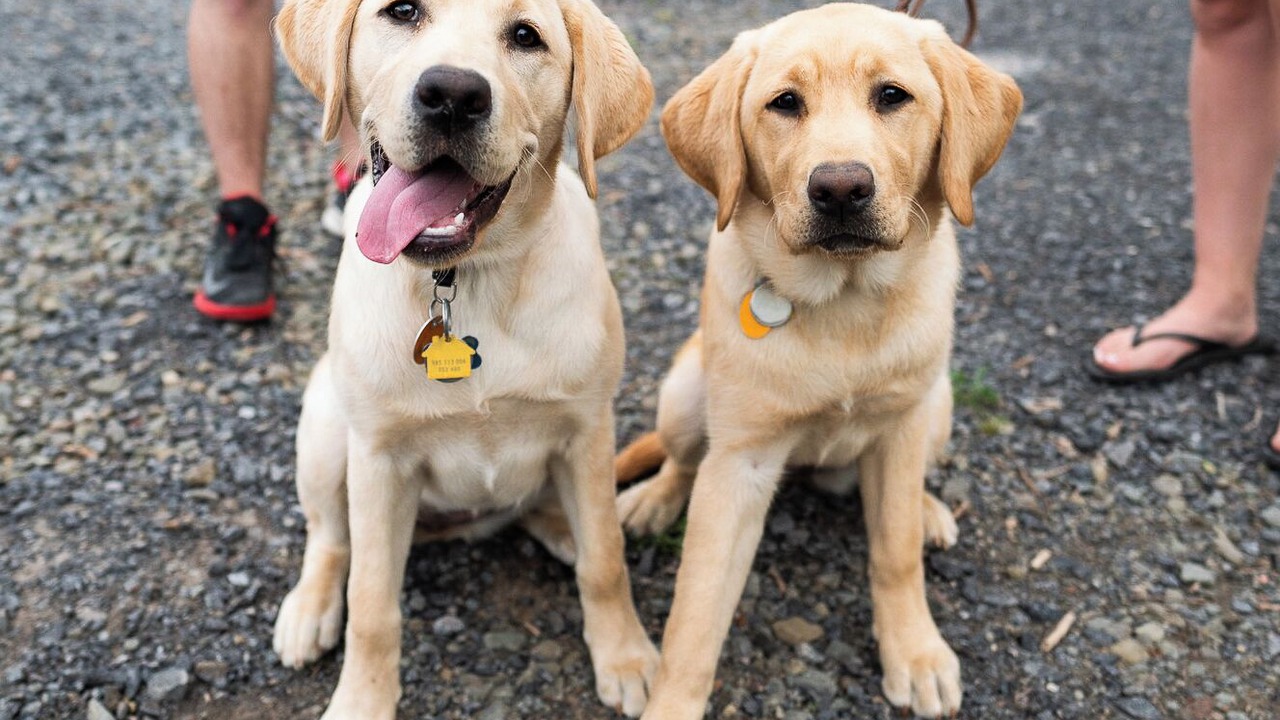 Photo of Others in South Hill