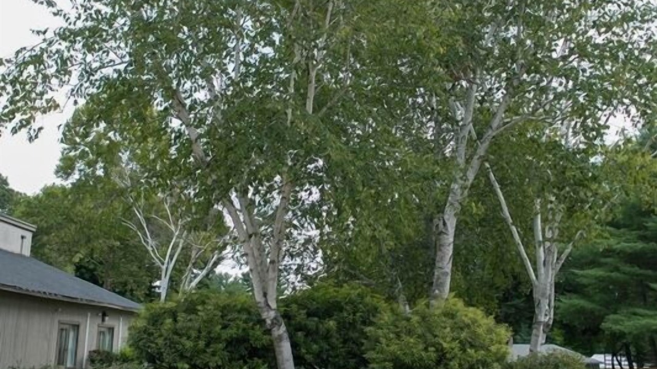 Photo of Outdoor in Southbury