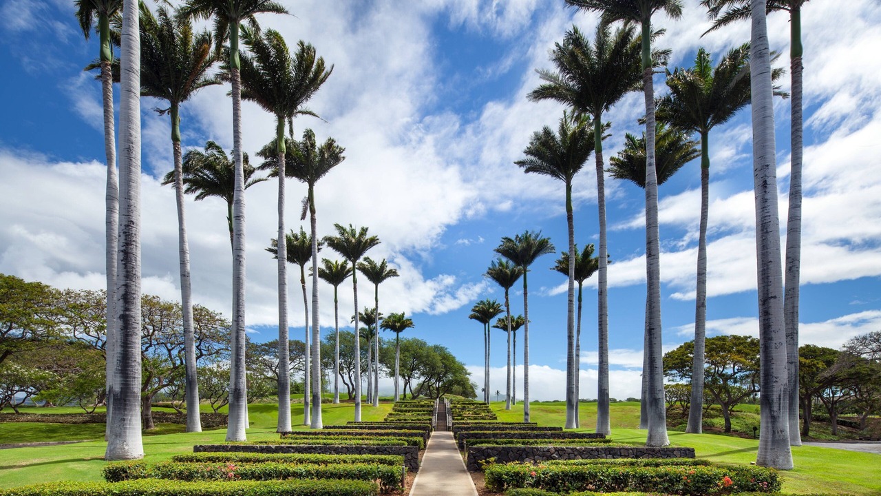 Photo of Others in Kamuela