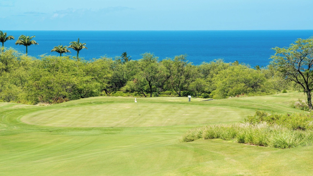 Photo of Others in Kamuela