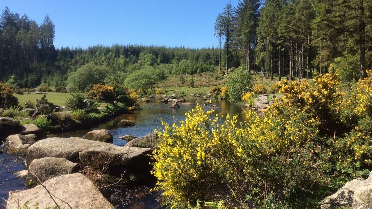 Photo of Others in Two Bridges