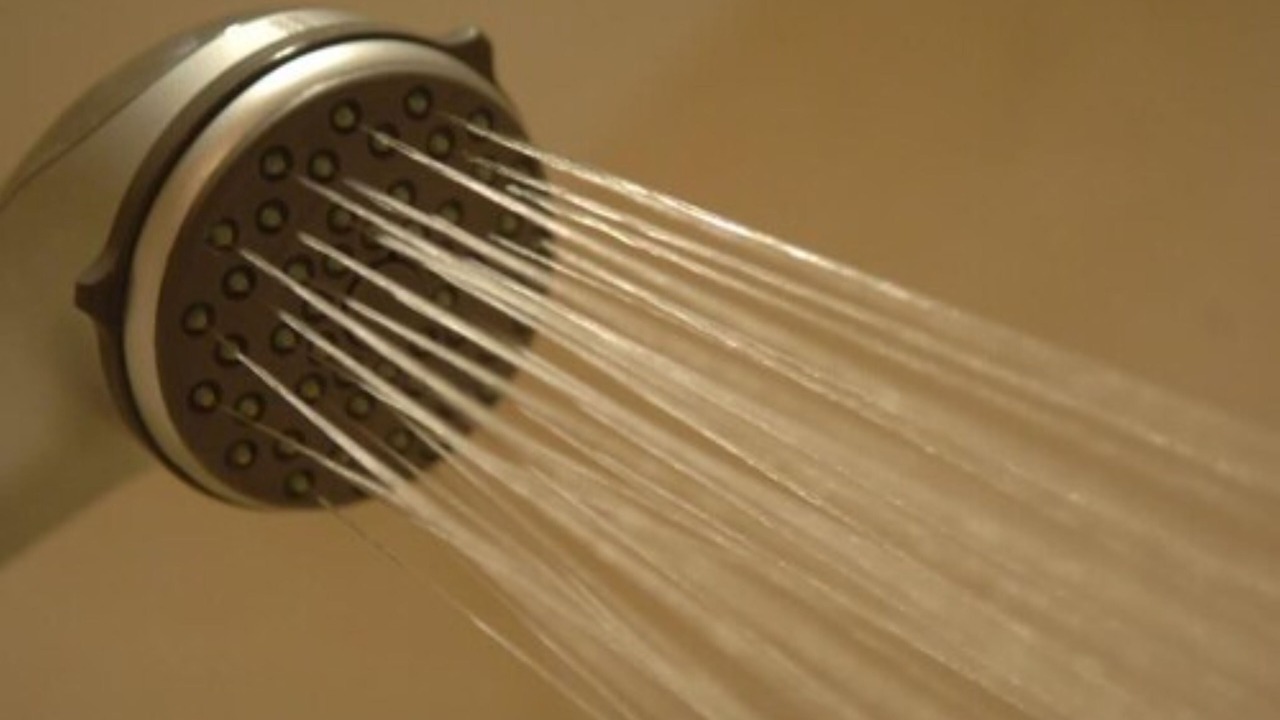 Photo of Others in Hickstead