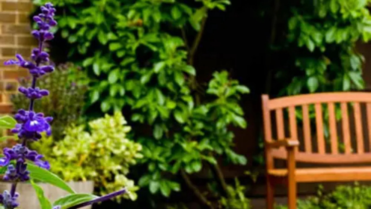 Photo of Outdoor in Hickstead