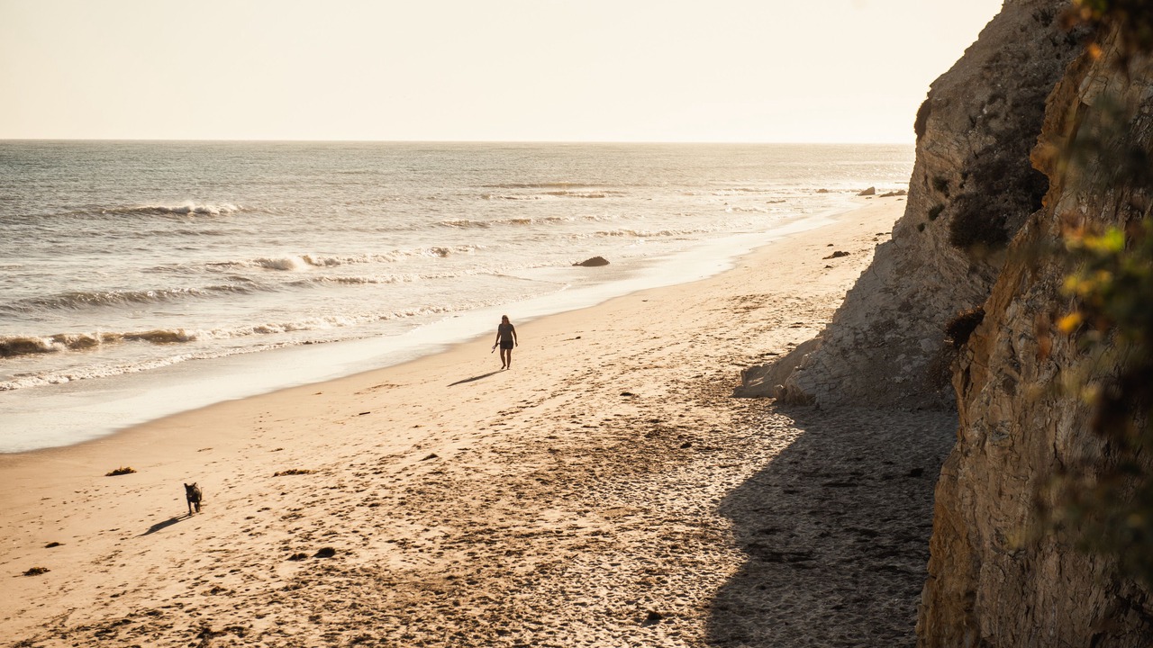 Photo of Others in West Beach