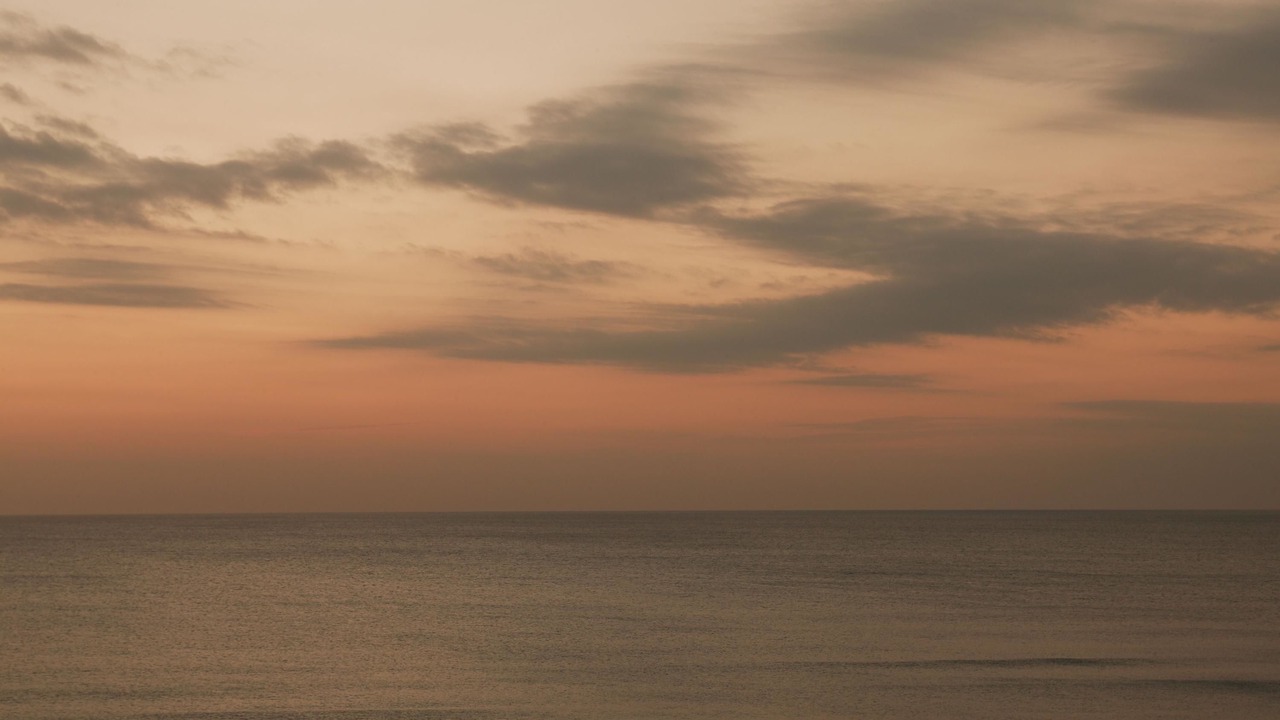 Photo of Others in Sarasota