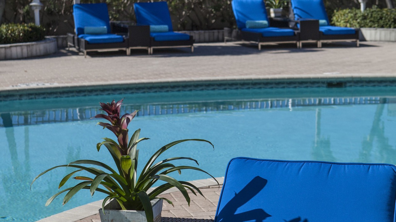 Photo of Outdoor in Sarasota