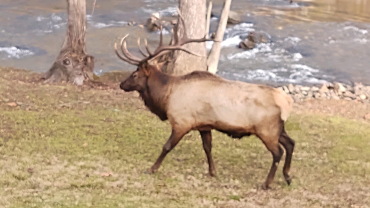 Photo of Outdoor in Cherokee