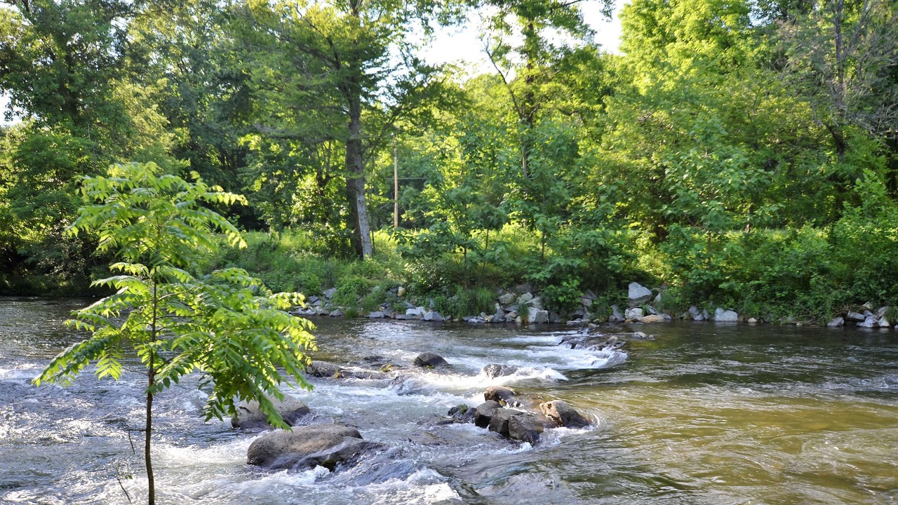 Photo of Others in Cherokee