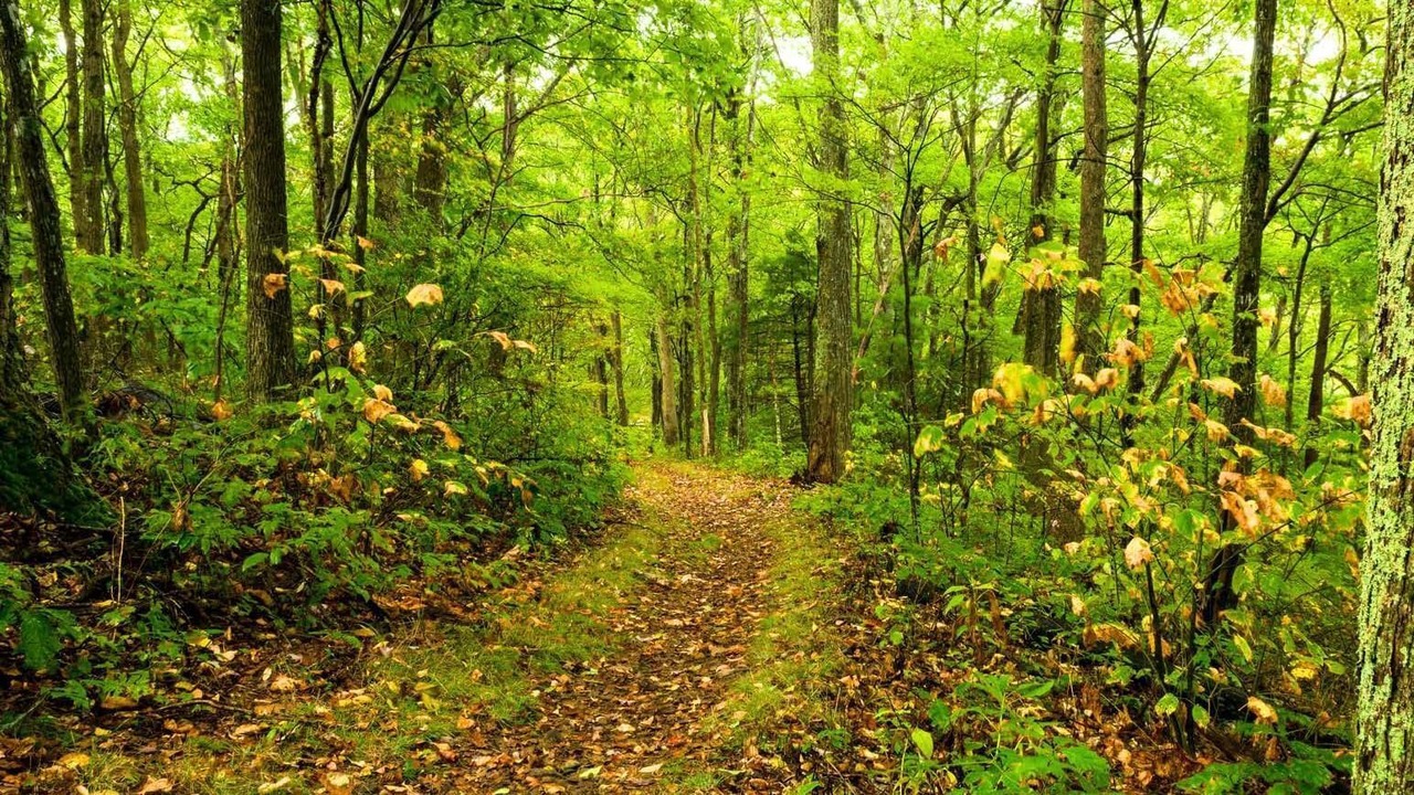 Photo of Outdoor in Lakeville