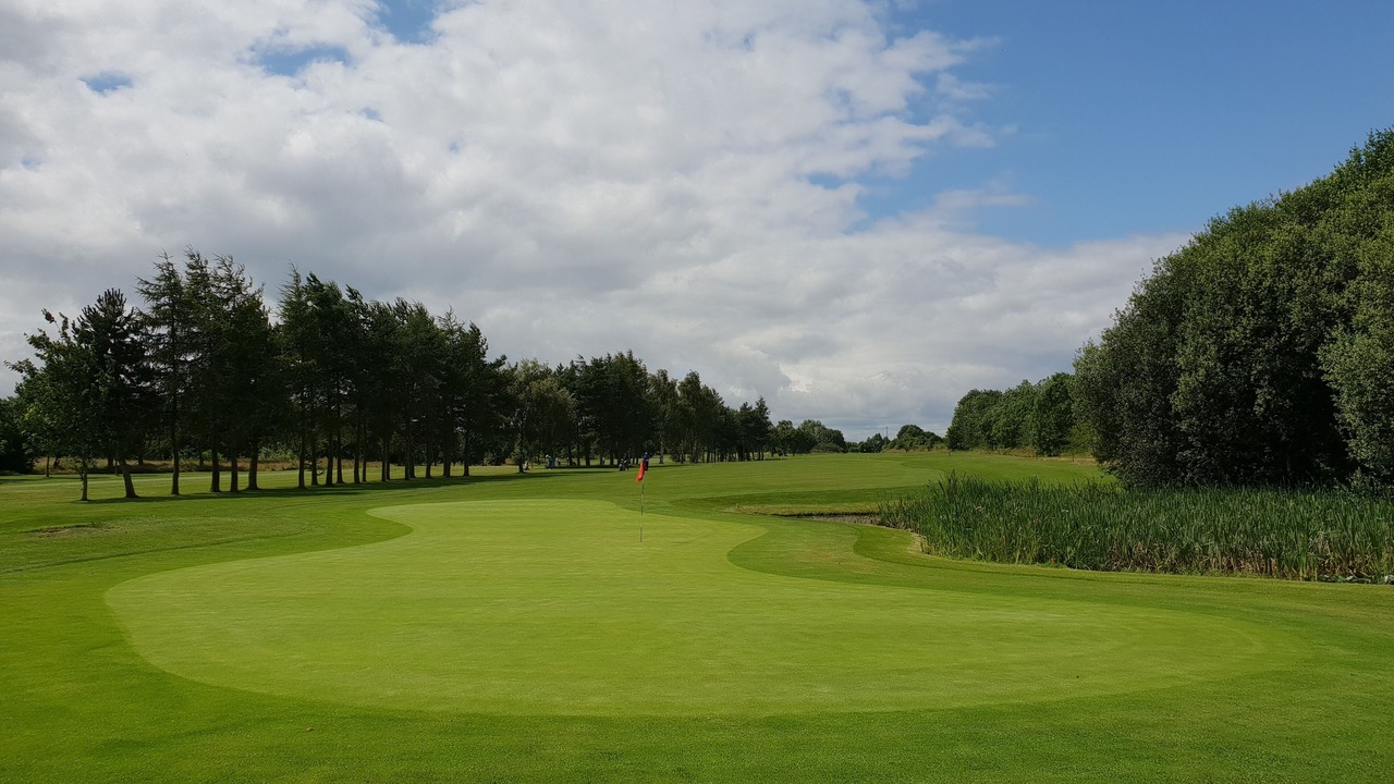 Photo of Others in Wolverhampton