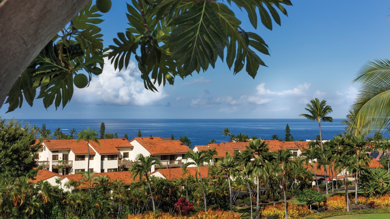 Photo of Outdoor in Kahaluu Bay