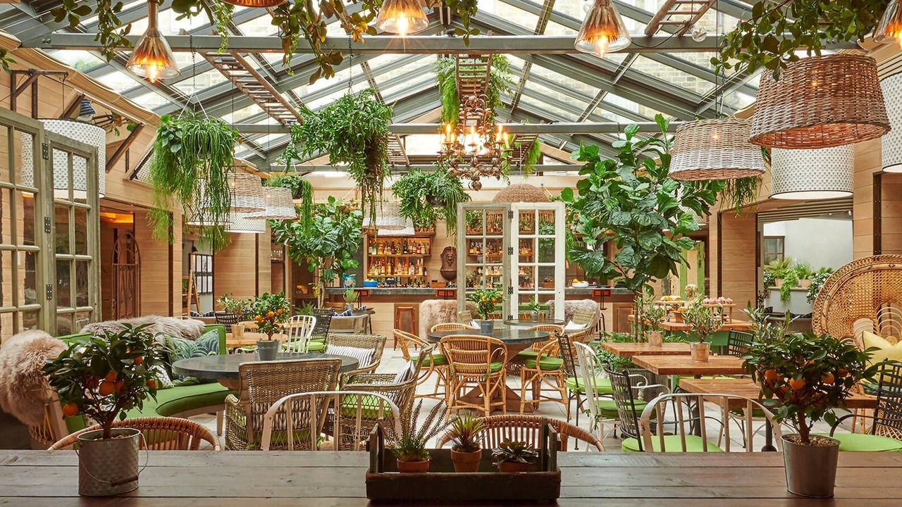 Photo of Others in New Town