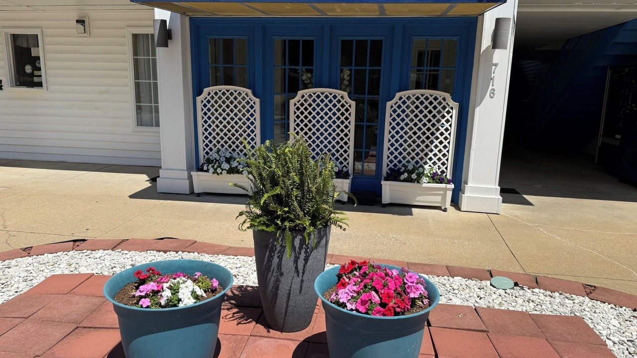 Photo of Outdoor in Eden