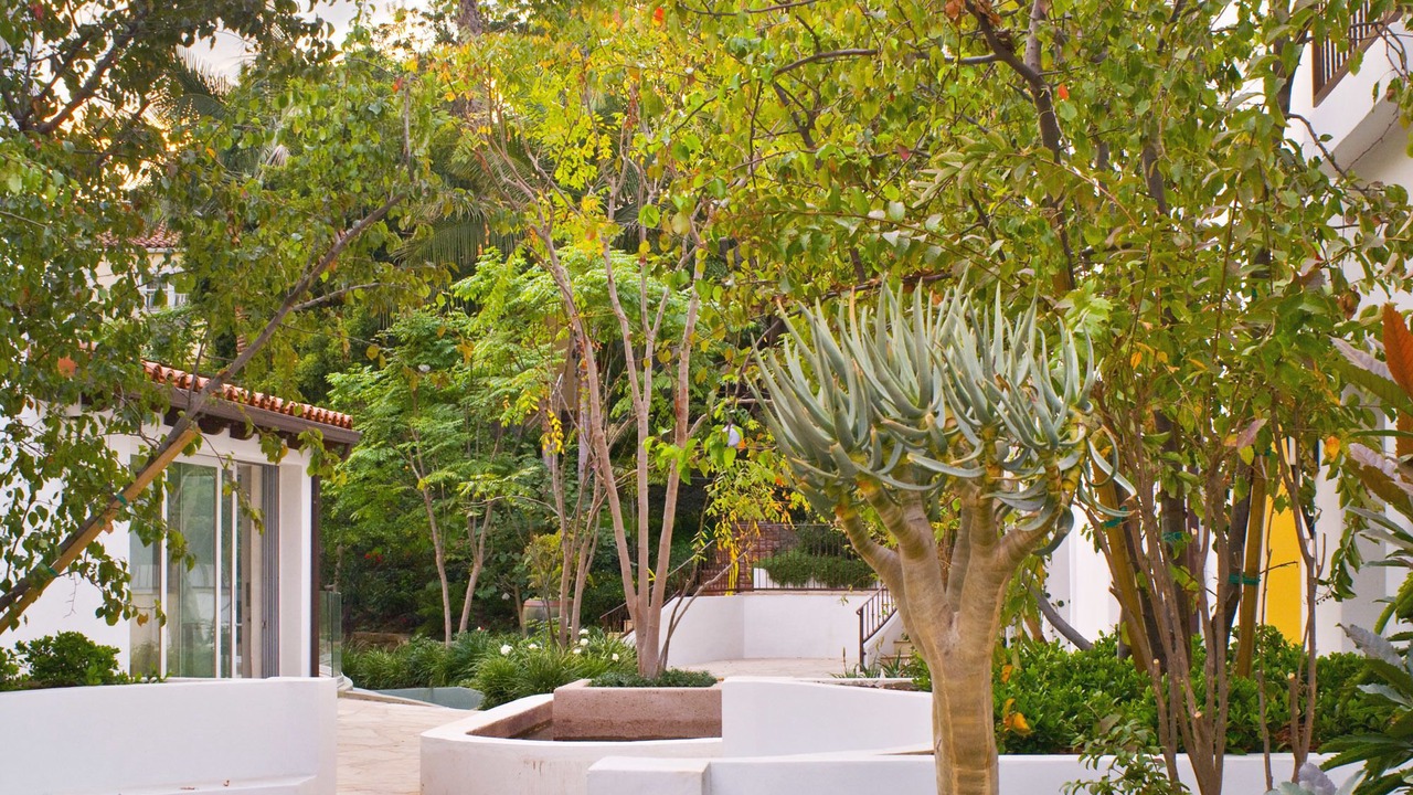 Photo of Outdoor in West Hollywood