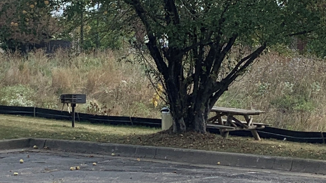 Photo of Outdoor in Chelsea