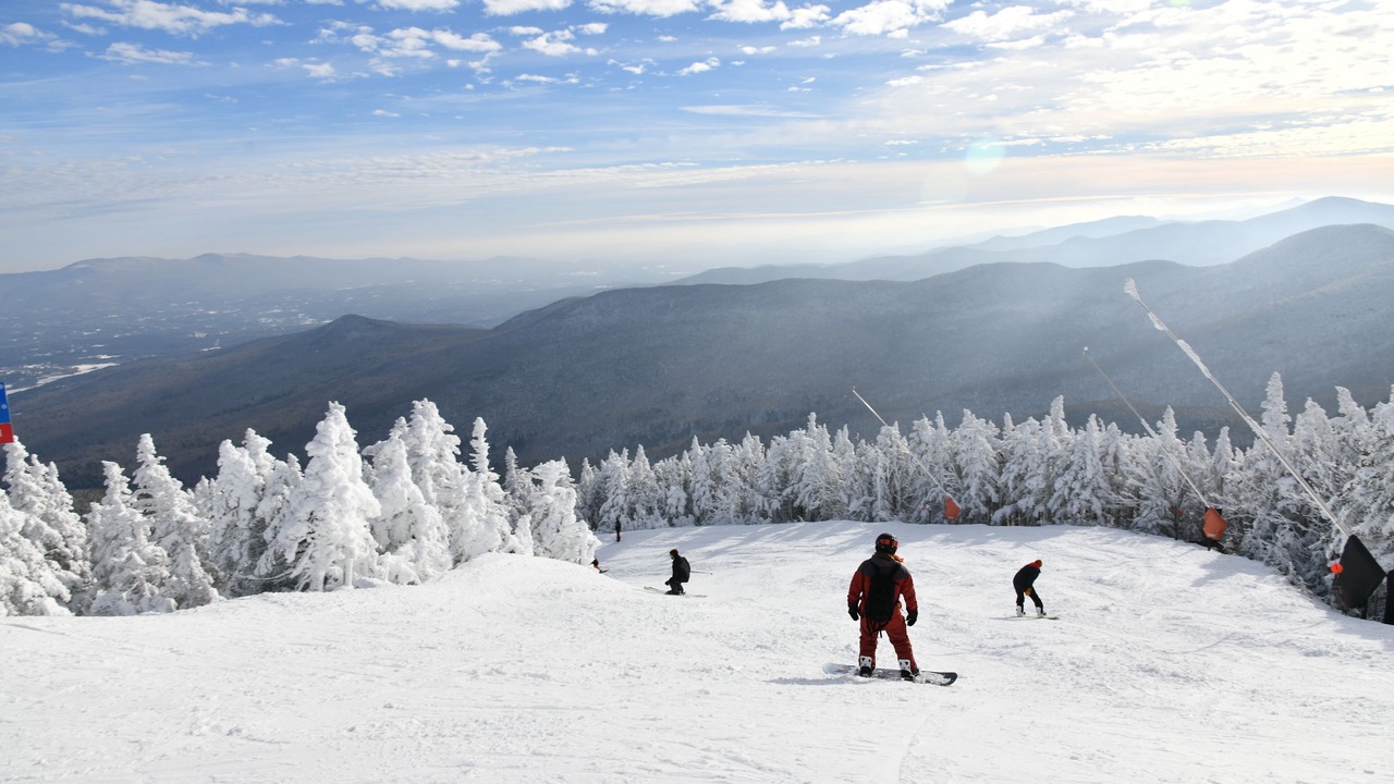 Photo of Others in Stowe Area