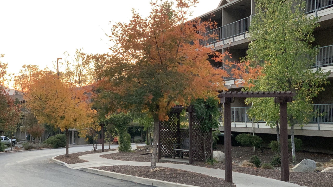 Photo of Outdoor in El Portal