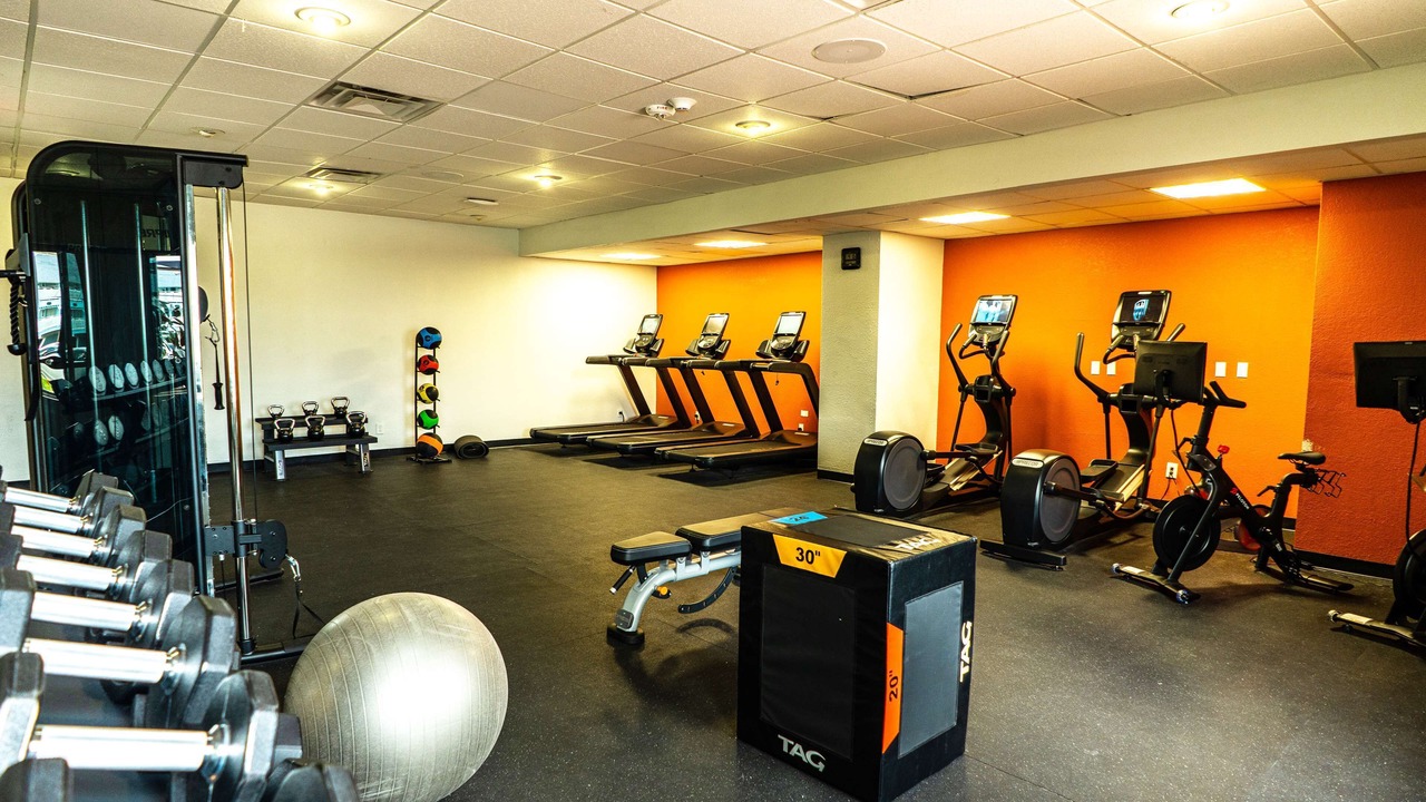 Photo of Others in North Beach