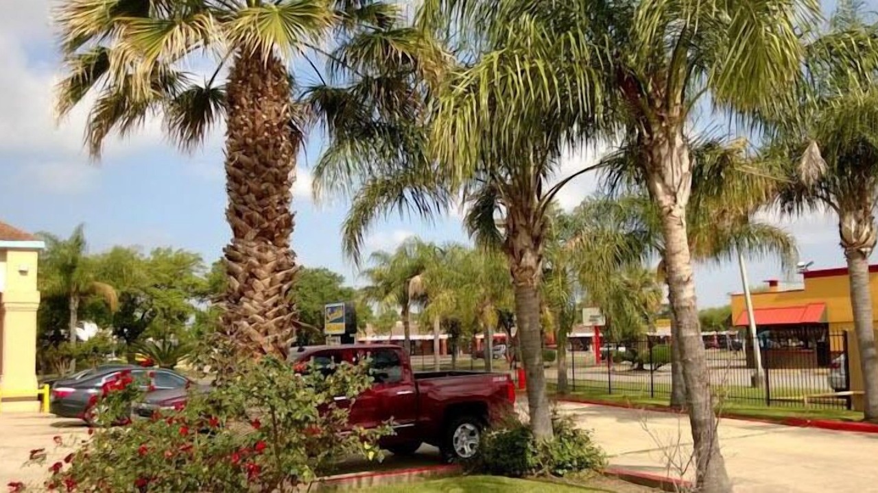 Photo of Outdoor in Southeast Houston