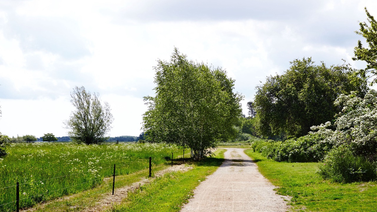 Photo of Others in Koge