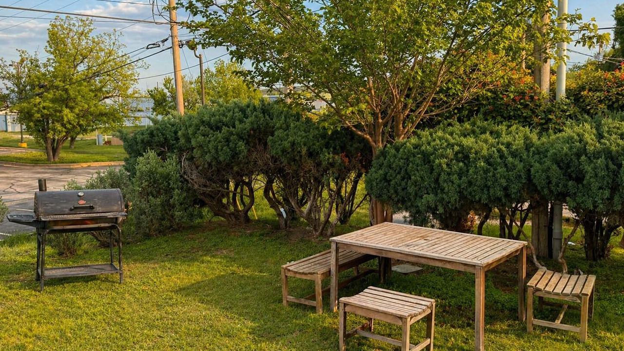 Photo of Outdoor in Sonora