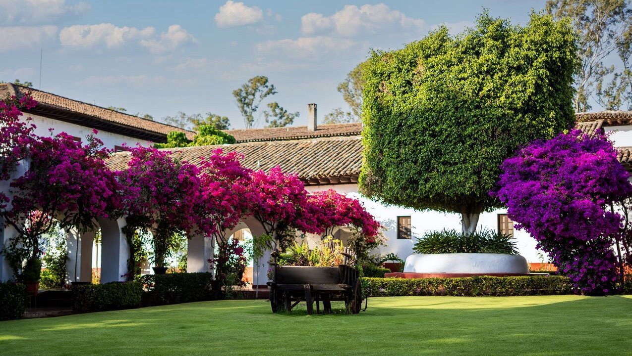 Photo of Outdoor in Patzcuaro