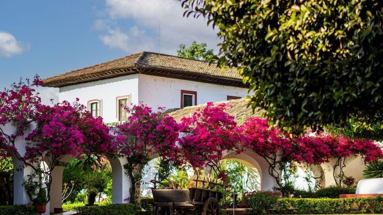 Photo of Outdoor in Patzcuaro
