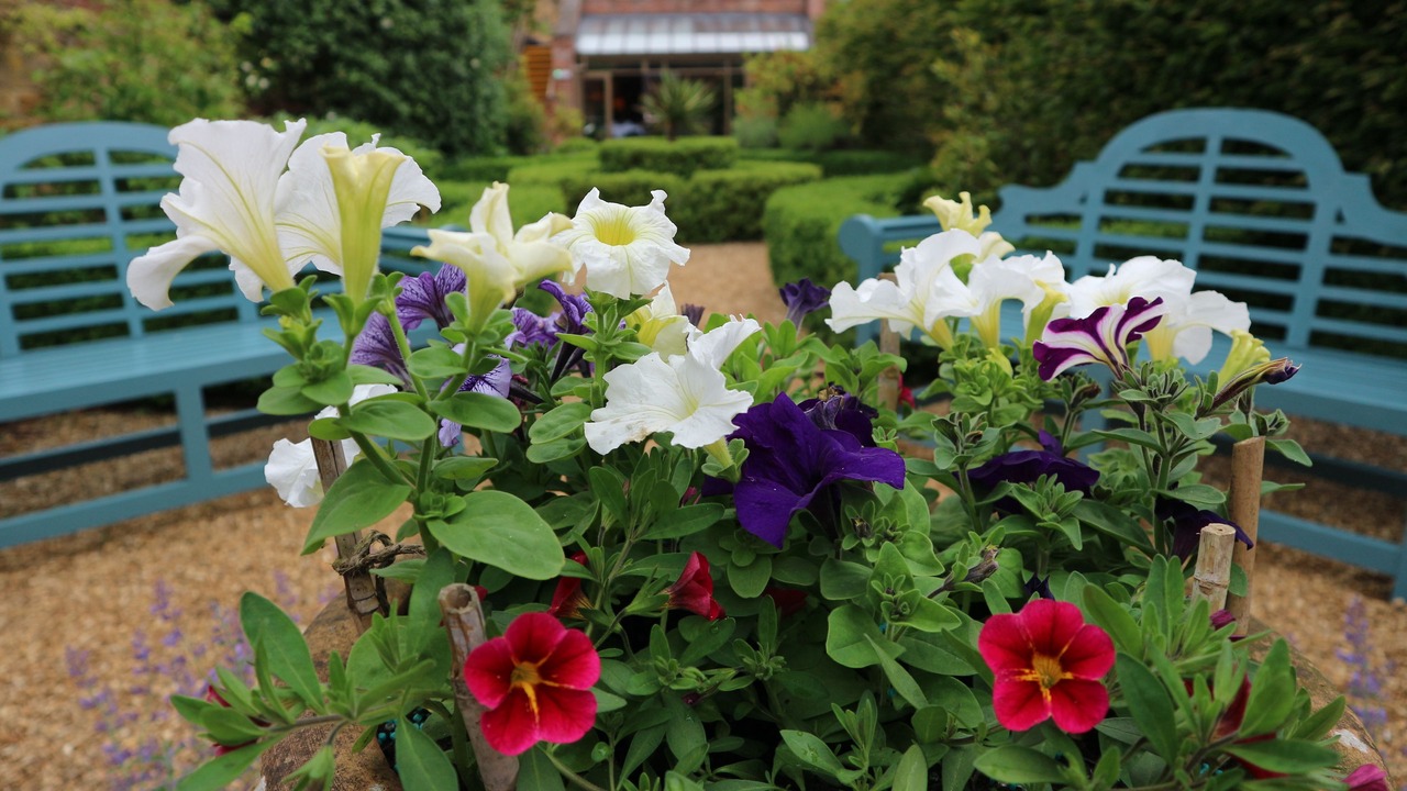 Photo of Others in Moreton-in-Marsh