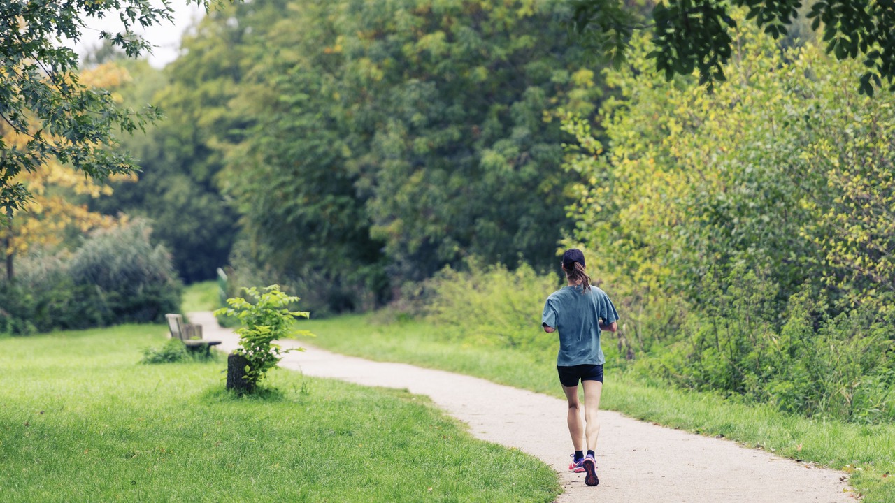 Photo of Outdoor in Sausheim