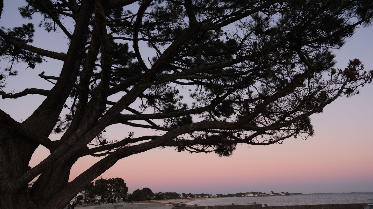 Photo of Outdoor in Carnac