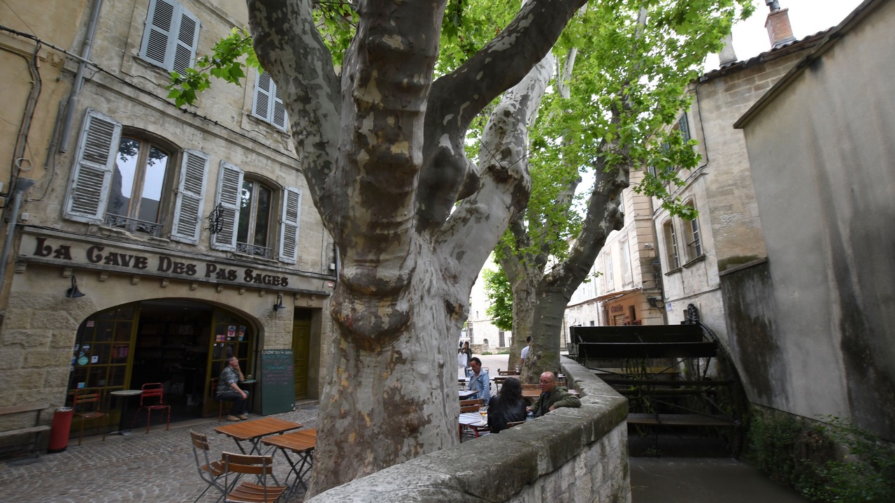 Photo of Others in Avignon City Centre