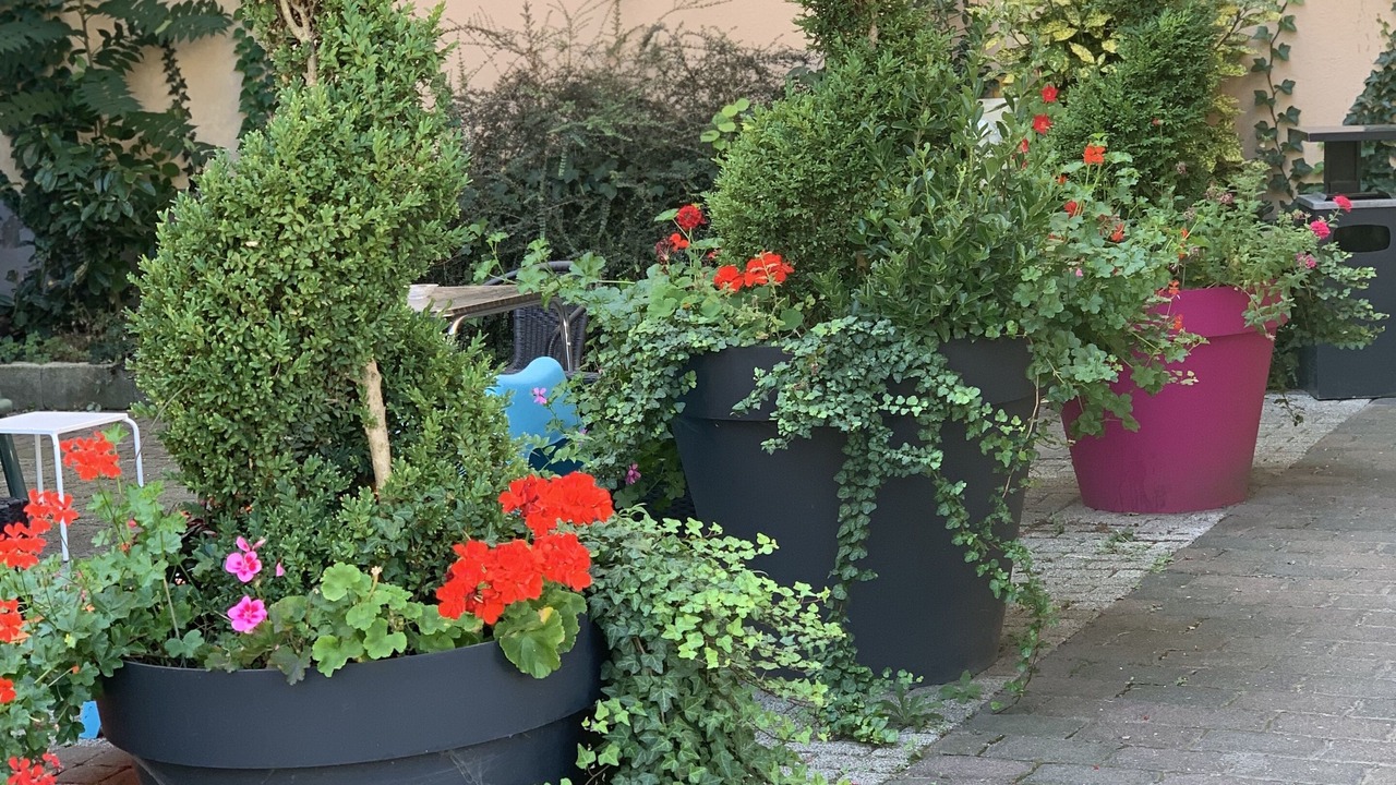 Photo of Outdoor in Mulhouse