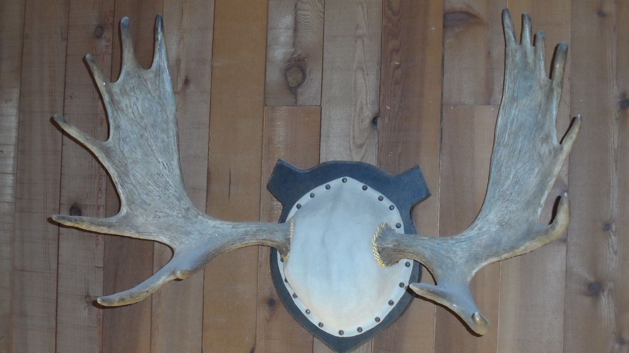 Photo of Others in Sundance