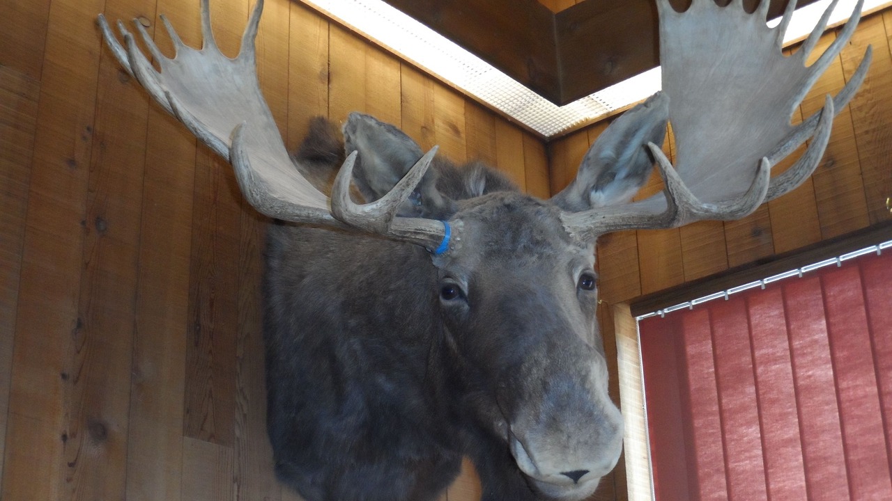 Photo of Others in Sundance