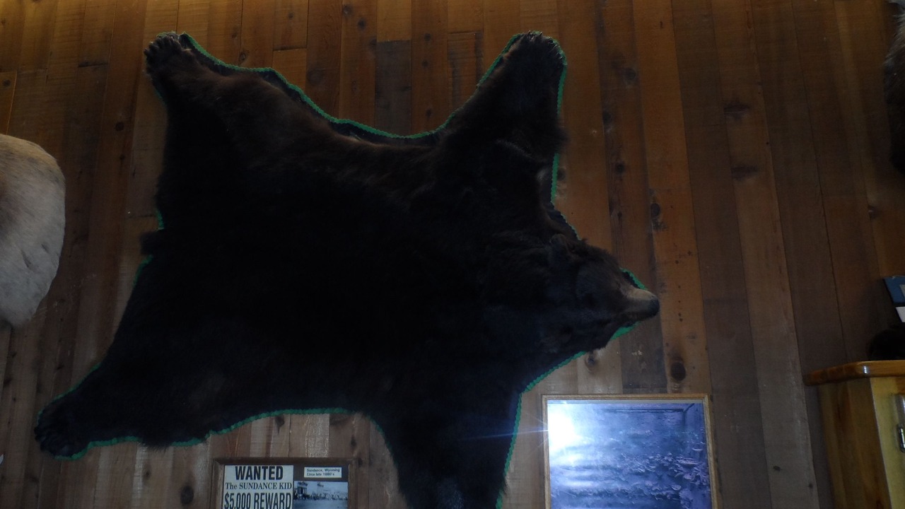 Photo of Others in Sundance