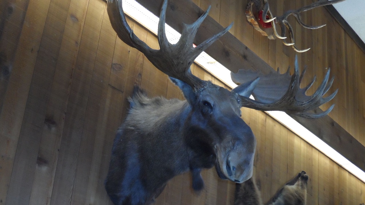 Photo of Others in Sundance