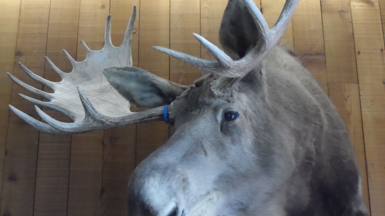 Photo of Others in Sundance